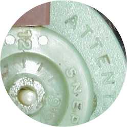 Picture of the month Fall/Winter 2005